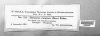 Pezicula carpinea image